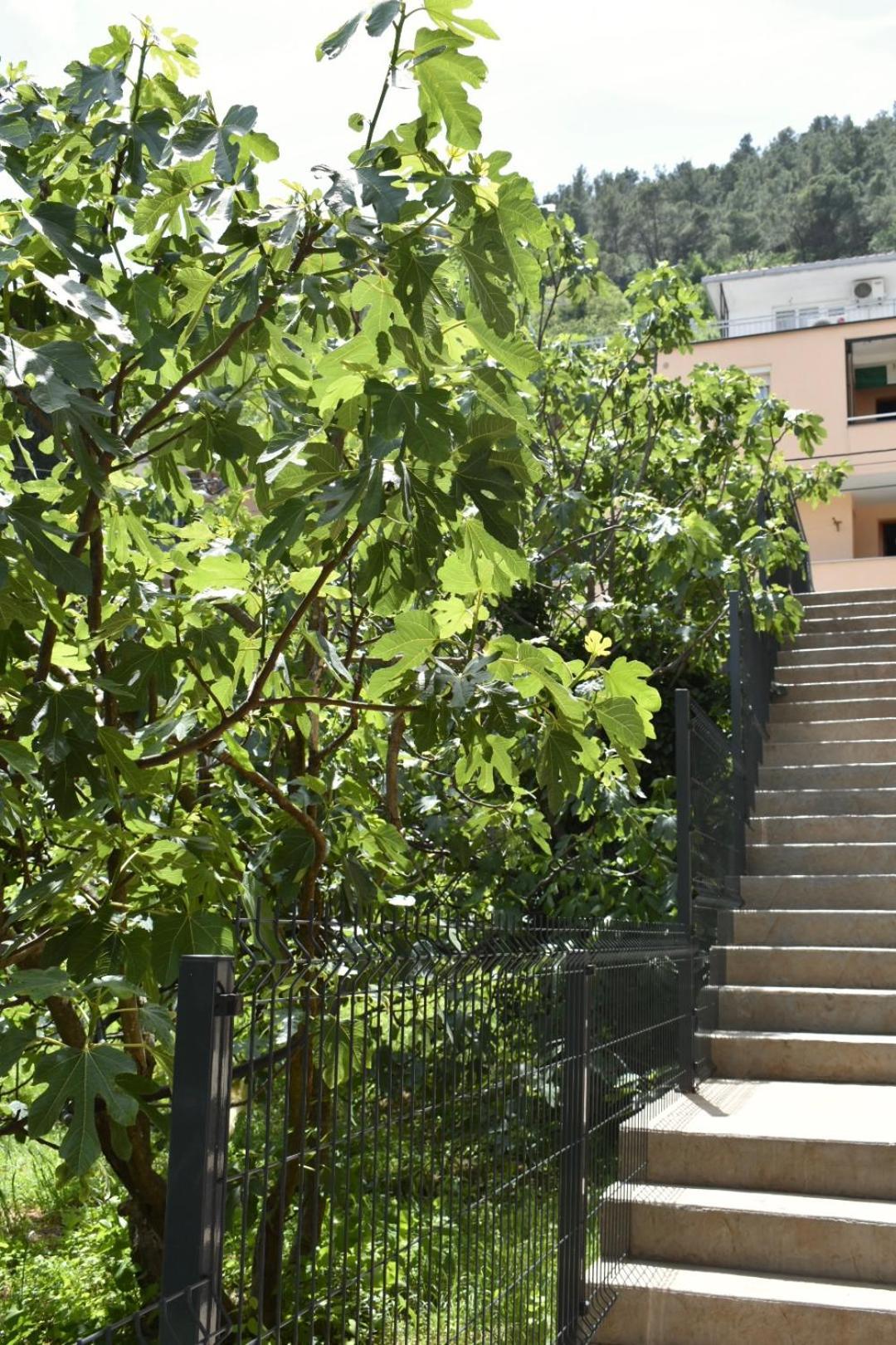 Bel Apartment Mostar Exterior foto